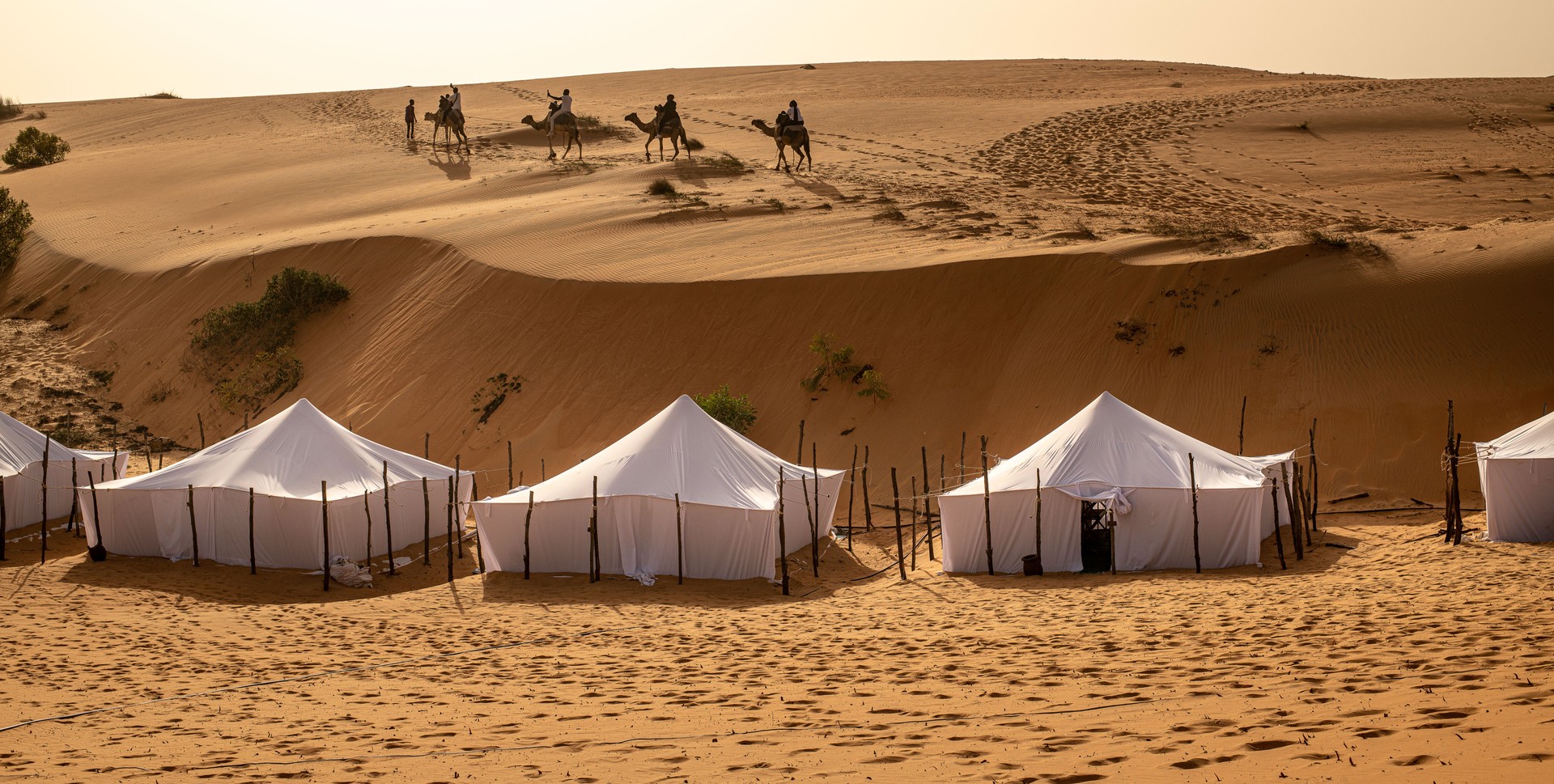 Dunes de sable dans le désert de Lompoul, près de Saint Louis, SENEGAL au coucher du soleilSENEGAL